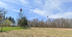SPRINGVILLE NY, New York